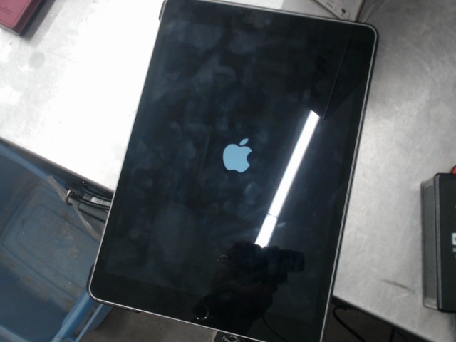 Ipad 9th gen grey with translucent case