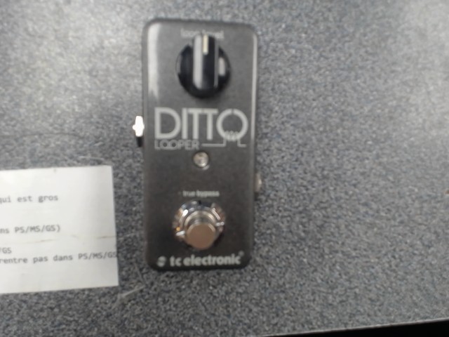 Ditto looper guitare peddal