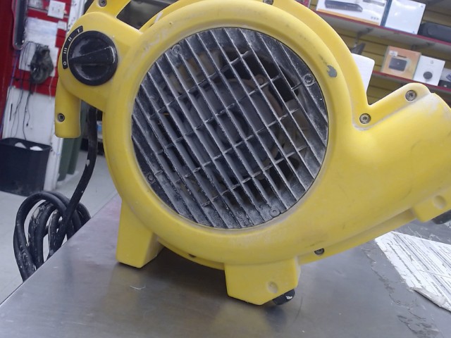 Fan
