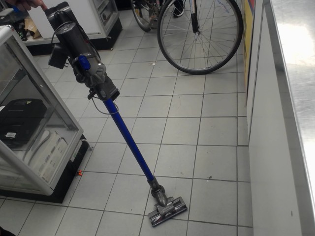 Aspiateur dyson dc45 animal
