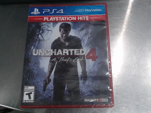 A thief's end sealed