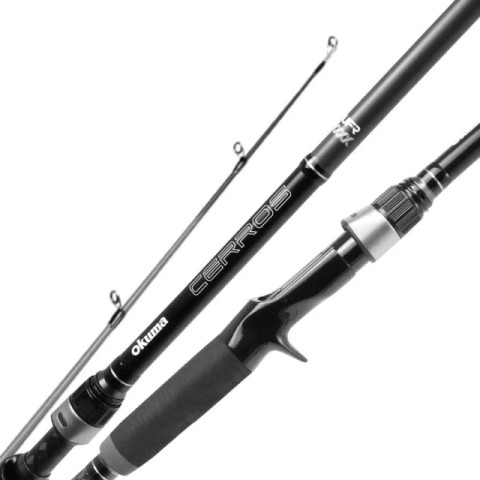 Canne a peche avec kit de rapala