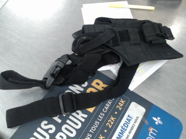 Etuis a gun