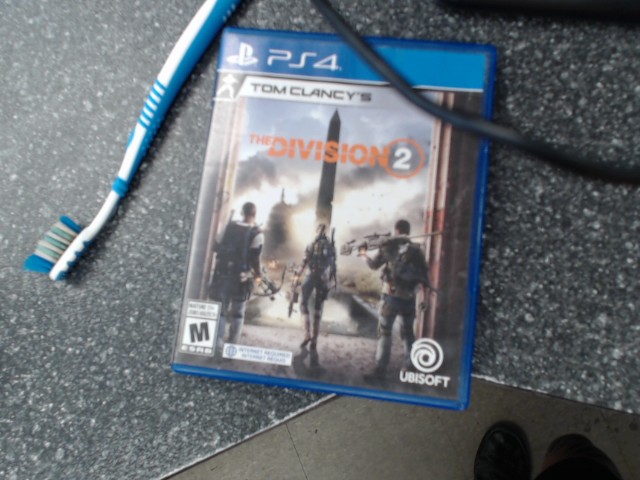 The division 2