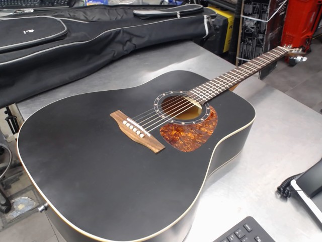 Guitare accoustique norman dans case mou