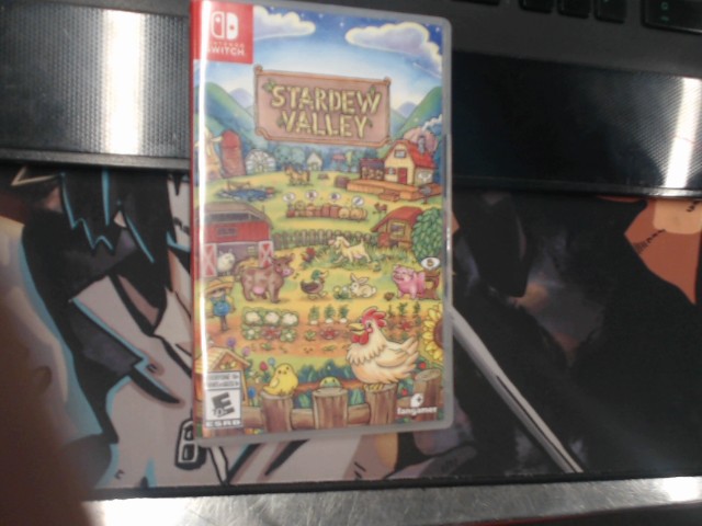 Stardew valley