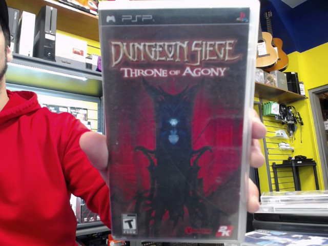 Dungeon siege throne of agony