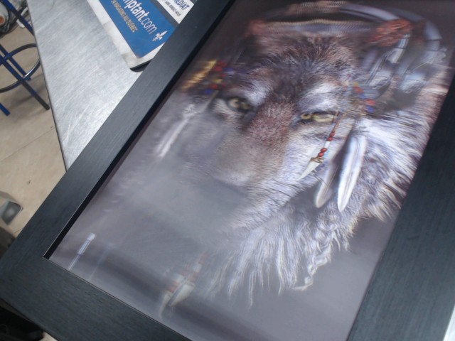 Cadre a photo de loup