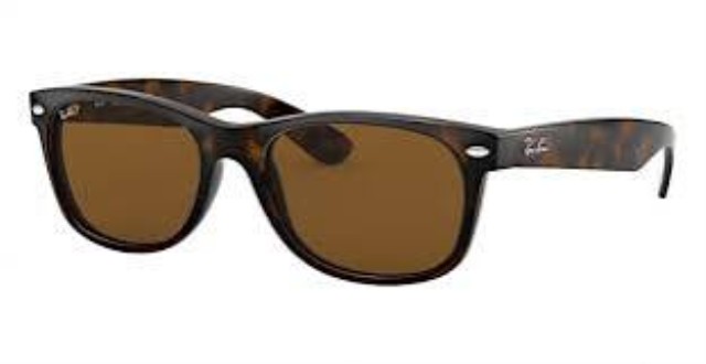 New wayfarer non polarized brown frame