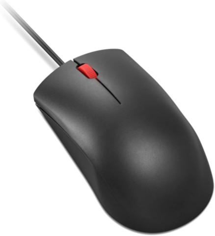 Souris a fil noir
