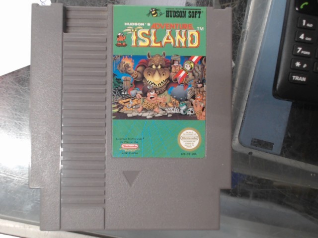 Hudson's adventures island