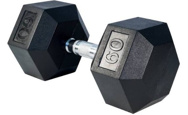 Dumbell 60lbs paire de 2
