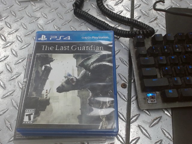 The last guardian