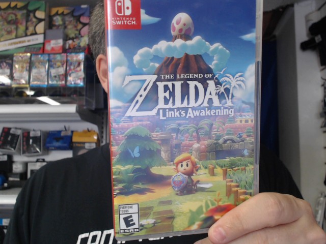 The legend of zelda link's awakening