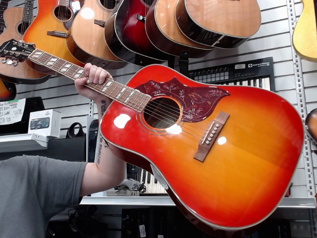 Hummingbird studio+hardcase