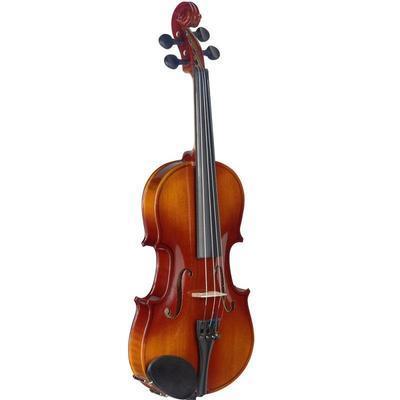 Violon