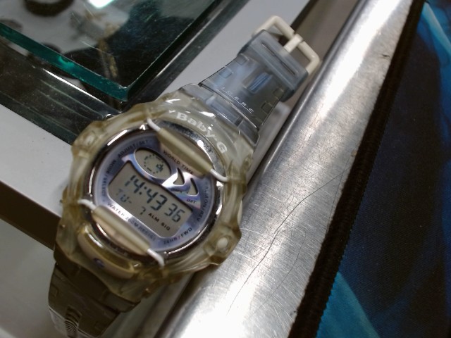 Baby g shock dolphin & wale