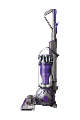 Dyson animal 2 violet a fils