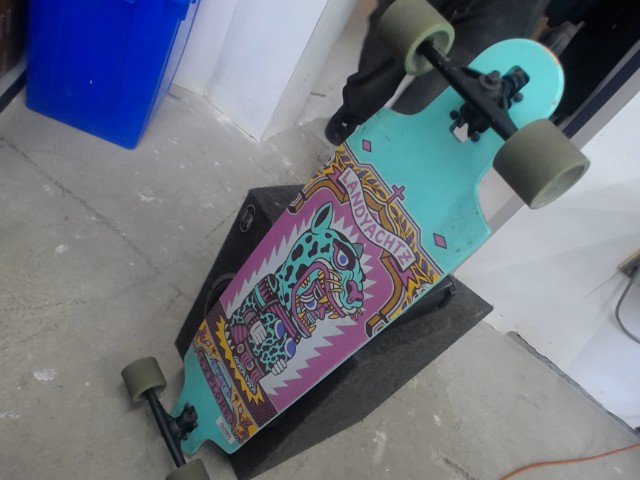Skate landyantz