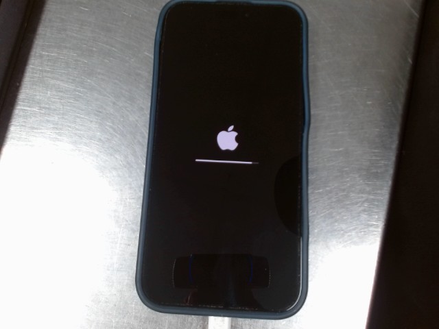 Iphone 16 pro max 93% avec caise