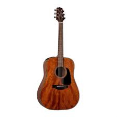 Takamine g series dreadnought naturel