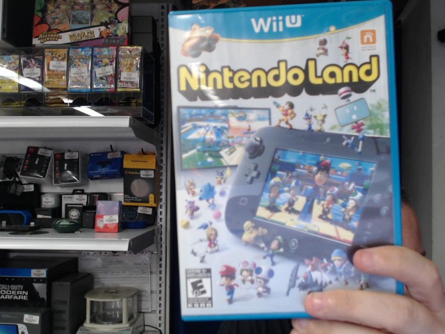 Nitendo land
