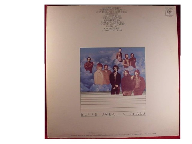 Blood, sweat & tears vinyl