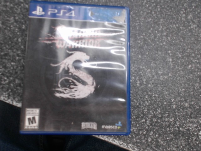 Shadow warrior