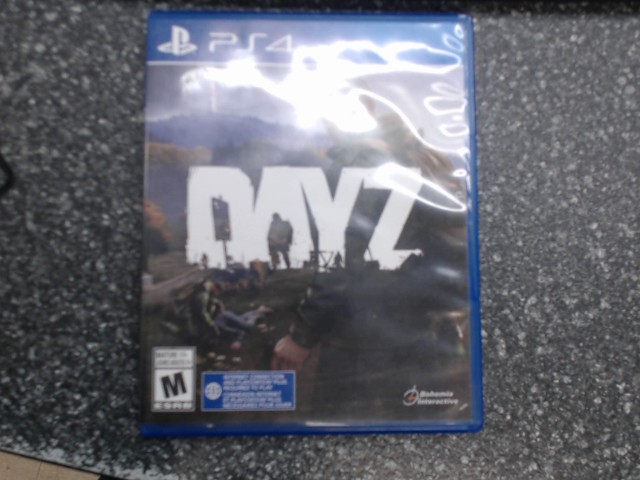 Dayz