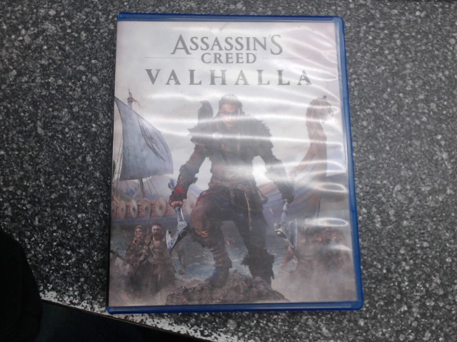 Assassin's creed valhalla