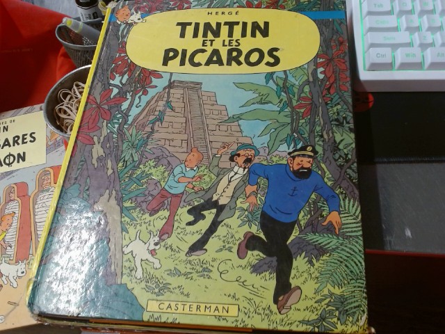 Tintin et les picaros
