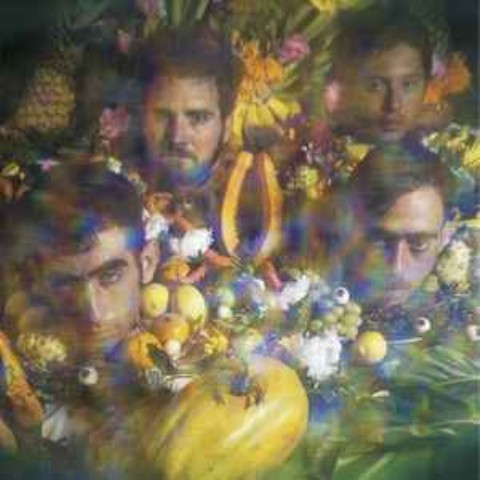 Los vigilantes vinyl
