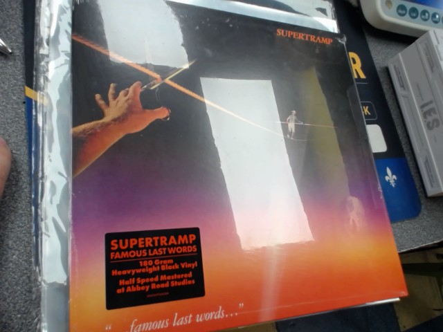 Famous last worlds vinyl