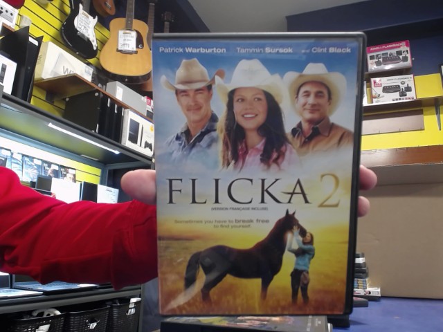 Flicka 2