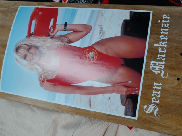 Skate board pamela anderson