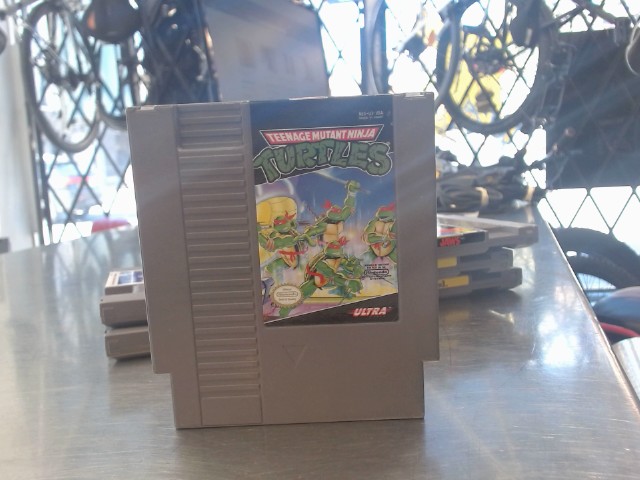 Teenage mutant ninja turtle