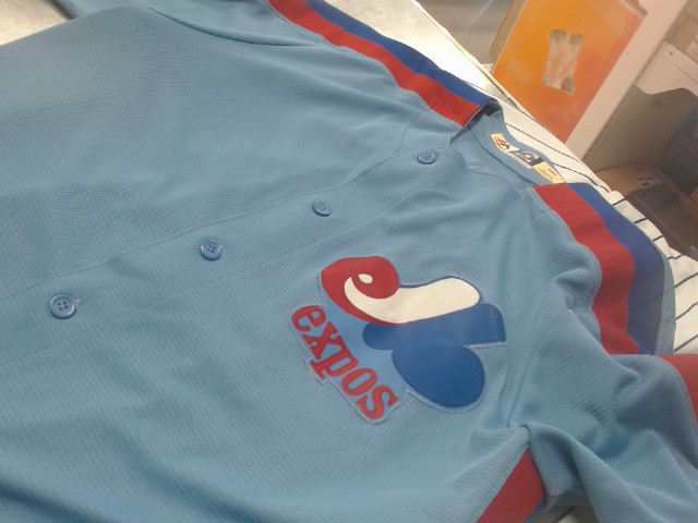 Blank expos jersey
