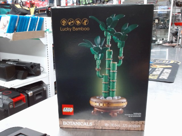 Lucky bamboo