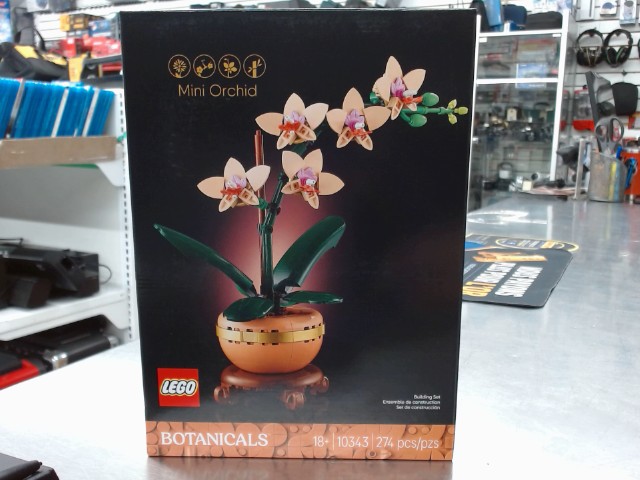 Mini orchid