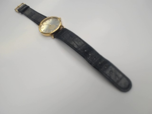 Montre des expos everest