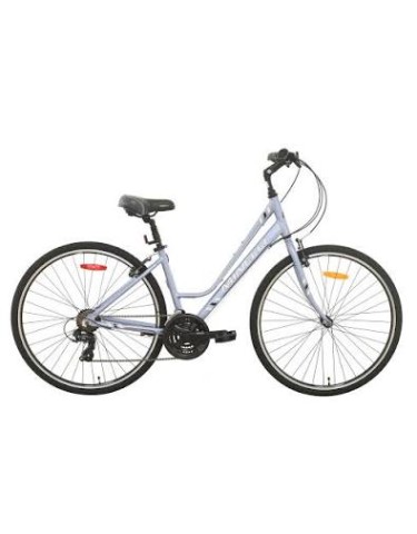 Velo urban gris et bleu