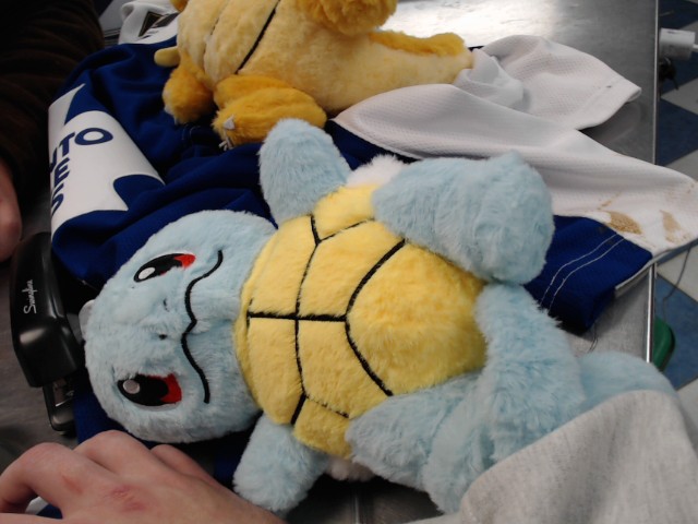 Pokemon