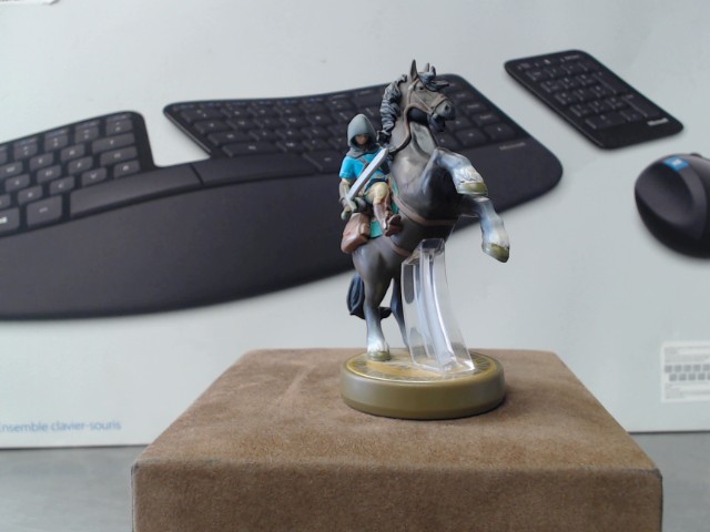Amiibo link rider