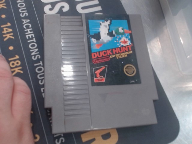 Duck hunt