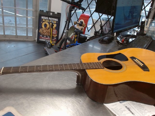 Guitare aria lw10