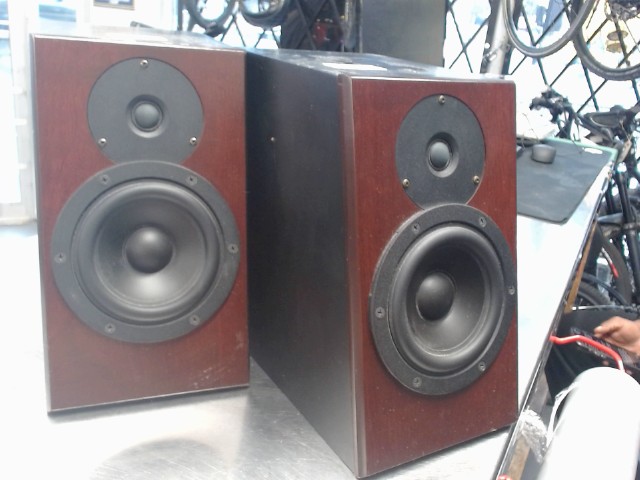 Speaker de studio paire