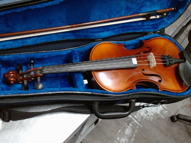 Violant with case