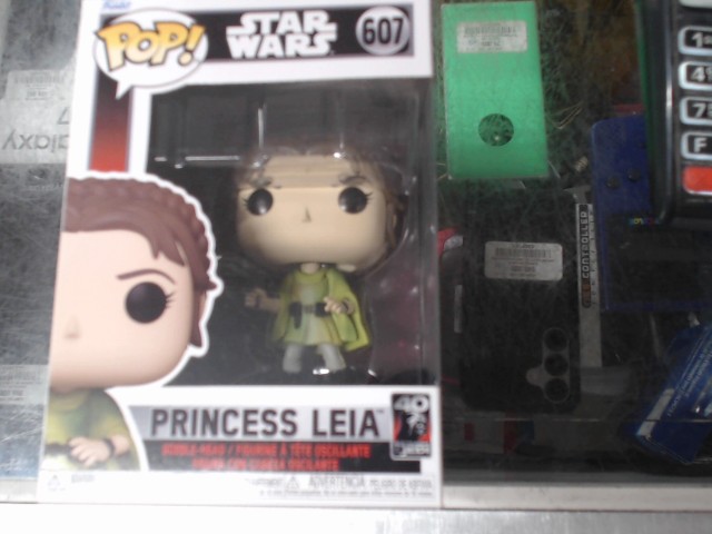 Pincess leia endor