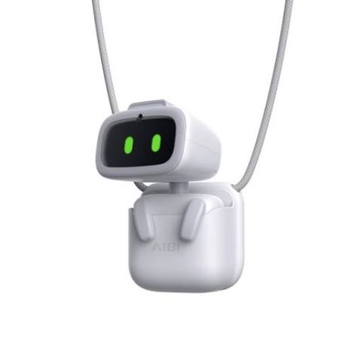 Aibi pocket pet