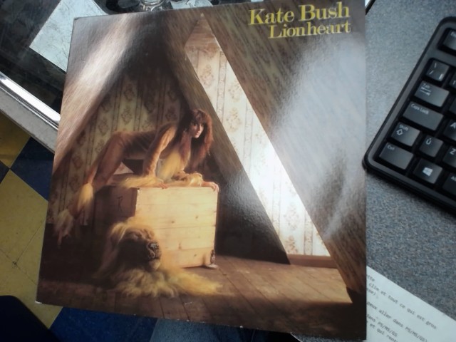 Lionheart vinyl